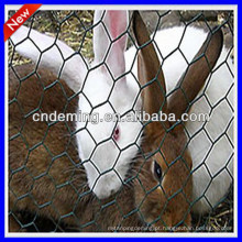 Boa qualidade Hexagonal Wire Mesh para gaiola de aves